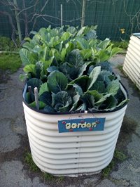 troughGarden.jpg
